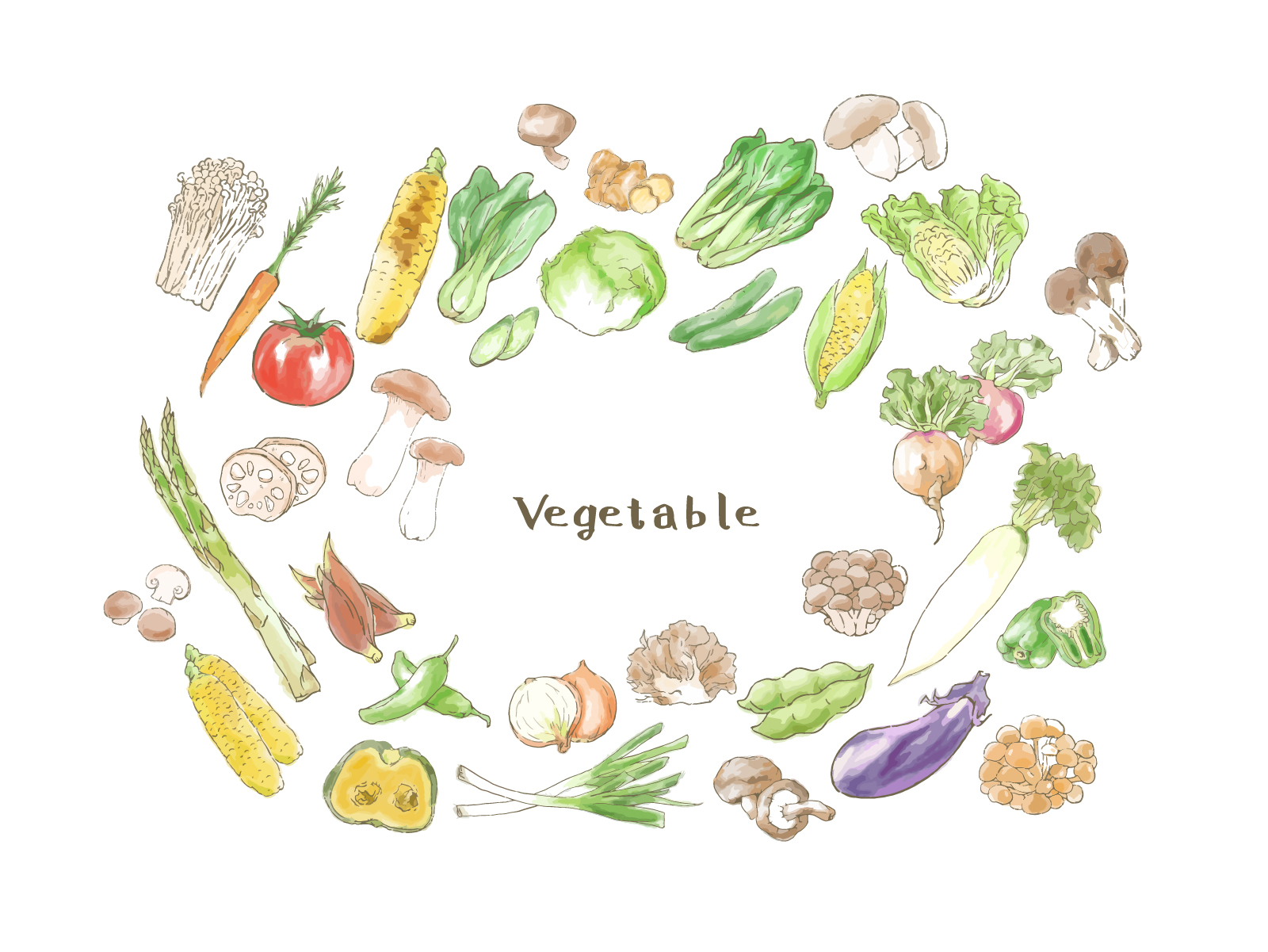 道の駅での野菜との出会い